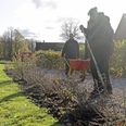 Karina Juul (forrest) havde ikke meget tilovers for havearbejdet, da hun startede på Haveholdet. Nu kan hun ikke undvære den friske luft og samarbejdet med blandt andre Anni Winther i baggrunden.