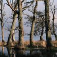 Naturskønne Klostermølle reddes måske fra at blive sat til salg til højstebydende. Klostermølles Venner har fået et år til at skaffe 6 millioner kroner til at købe Klostermølle af staten. Foto: Michael Møllgaard