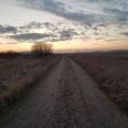 Der er blevet lavet en forbindelse mellem to eksisterende markveje i engen, så man nu kan gå en runde ude i vådområdet på cirka tre kilometer. Privat foto.