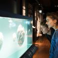 Museumsgæster kigger på spektakulært Hjerteakvarium. Foto: Ida Marie Jensen, AU foto