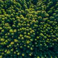»Problemet er bare, at der ikke findes en ”klimakrise”, men i stedet et globalt klima, som er i forandring og altid har været det, så idéen om, at vi skal sikre et ”stabilt” klima, giver simpelthen ingen mening, for klimaet har aldrig været stabilt,« siger Claus Konradsen. Foto: Adobe Stock