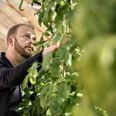 Jakob Vinkler har sammen med Rikke Braderup valgt, hvad der skal være på menuen i alle boder ved næste uges Northside Festival. Pressefoto