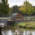 Dyreparkens formidlere giver en guidet morgenfodring. Pressefoto