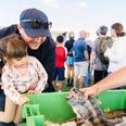 Man er aldrig for lille til en lækker smagsprøve, og ud fra den devise er der indrettet et område for de yngste. Pressefoto: Food Festival