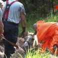 Det tog halvanden time at redde hest op ad dybt mudderhul.