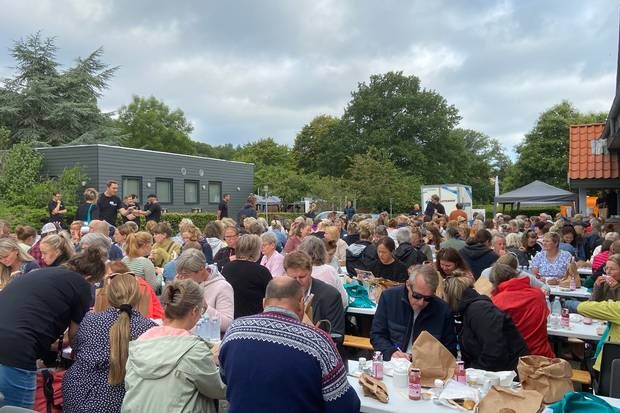 Artiklens øverste billede