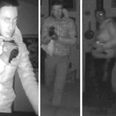 Fordi billederne er optaget om natten, kan farvenuancerne være anderledes i dagslys. Foto: Københavns Vestegns Politi
